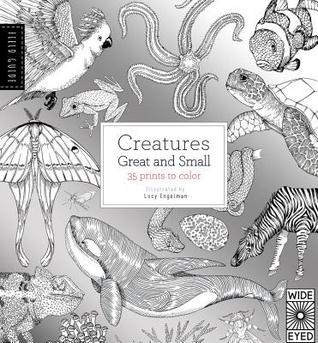 Field Guide: Creatures Great and Small: 35 prints to color (Paperback)