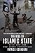 The Rise of Islamic State: ISIS and the New Sunni Revolution