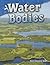 Water Bodies