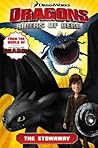 The Stowaway (Dragons: Riders of Berk Comics, #4)