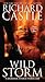 Wild Storm (Derrick Storm, #5)