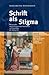 Schrift Als Stigma: Hebraische Und Hebraisierende Inschriften Auf Gemalden Der Spatgotik (Schriften Der Hochschule Fur Judische Studien Heidelberg) (German Edition)