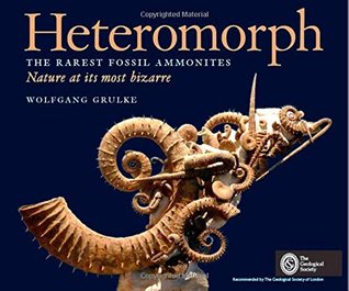 Heteromorph: The Rarest Fossil Ammonites - Nature at its Most Bizarre (Hardcover)