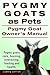 Pygmy Goats as Pets. Pygmy goats care, housing, interacting, feeding and health. Pygmy Goat Owners Manual.