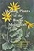 Healing Plants of the Rocky...