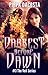 Darkest Before Dawn (The Veil, #3)