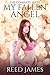 My Fallen Angel (My Fallen Angel, #1-5)