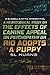 A Neurological Study on the Effects of Canine Appeal on Psych... by S.L. Huang