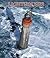 Lighthouses 2007 Deluxe Cal...