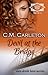 Devil at the Bridge, a novel (Canton County Chronicles Mysteries #6)