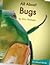 All About Bugs