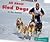 All About Sled dogs