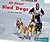 All About Sled dogs by Eric Michaels