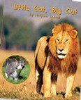 Little Cat Big Cat