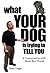 What Your Dog Is Trying To ...