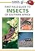 Sasol First Field Guide to Insects of Southern Africa