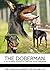 The Doberman: A vet's guide on how to care for your Doberman