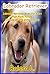 Labrador Retriever Books For Kids : Fast Facts Picture (Include amazing picture bonus)