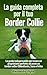 La guida completa per il tuo Border Collie: La guida indispensabile per essere un proprietario perfetto ed avere un border collier Obbediente, Sano e Felice (Italian Edition)