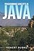 Programming Concepts In Java
