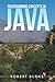 Programming Concepts In Java