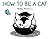 How to Be a Cat