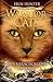 Der verschollene Krieger (Warrior Cats: Zeichen der Sterne, #5)