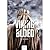 Vikingbloed