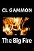 The Big Fire