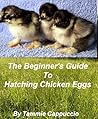 The Beginner's Guide to Hatching Chicken Eggs