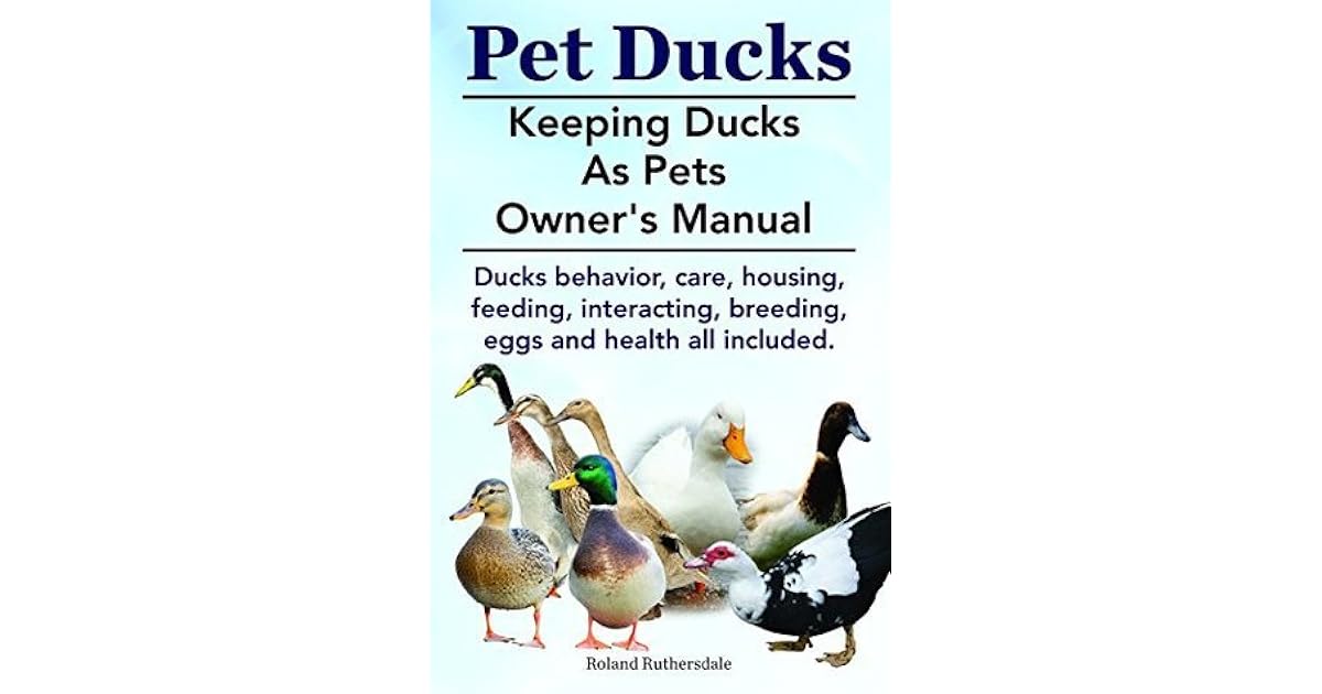 Pet Ducks. Keeping Ducks As Pets Owner's Manual. Ducks behavior, care
