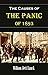The Causes of the Panic of 1893