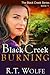 Black Creek Burning (The Black Creek Series, Book 1)