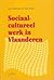 Sociaal-cultuureel werk in Vlaanderen