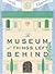 The Museum of Things Left B...