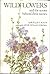 Wildflowers and the Stories Behind Their Names