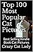 Top 100 Most Popular Cat Pictures: According To Cats & Crazy Cat Ladies
