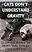Cats Don't Understand Gravity: 23 Common Mistakes Cat Owners Make, From the Trivial to the Fatal
