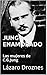 JUNG ENAMORADO: Las mujeres de C.G.Jung (PSICOANALISIS: UNA MIRADA) (Spanish Edition)