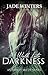 A Walk Into Darkness (Ashley McCoy #1)
