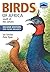 Birds of Africa, south of the Sahara by Ian Sinclair