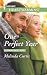 One Perfect Year (A Harmony Valley Novel #4)