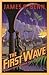 The First Wave (Billy Boyle World War II, #2)