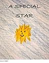 A Special Star