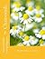 Chamomile: Matricaria recut...