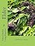 Elder: Sambucus nigra