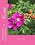 Rose: Rosa spp