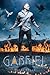 Gabriel (The Styclar Saga, #2)