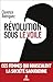 Révolution sous le voile (FIRST DOCUMENT) (French Edition)