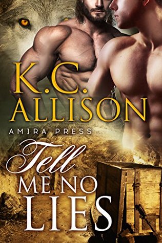 Tell Me No Lies (Kindle Edition)